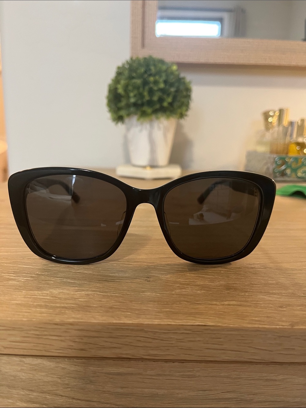 Bottega Venetia Classic Black Oversized Sunglasses (authentic)